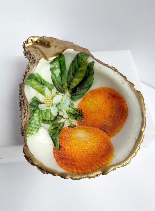 Decoupage Oyster Oranges