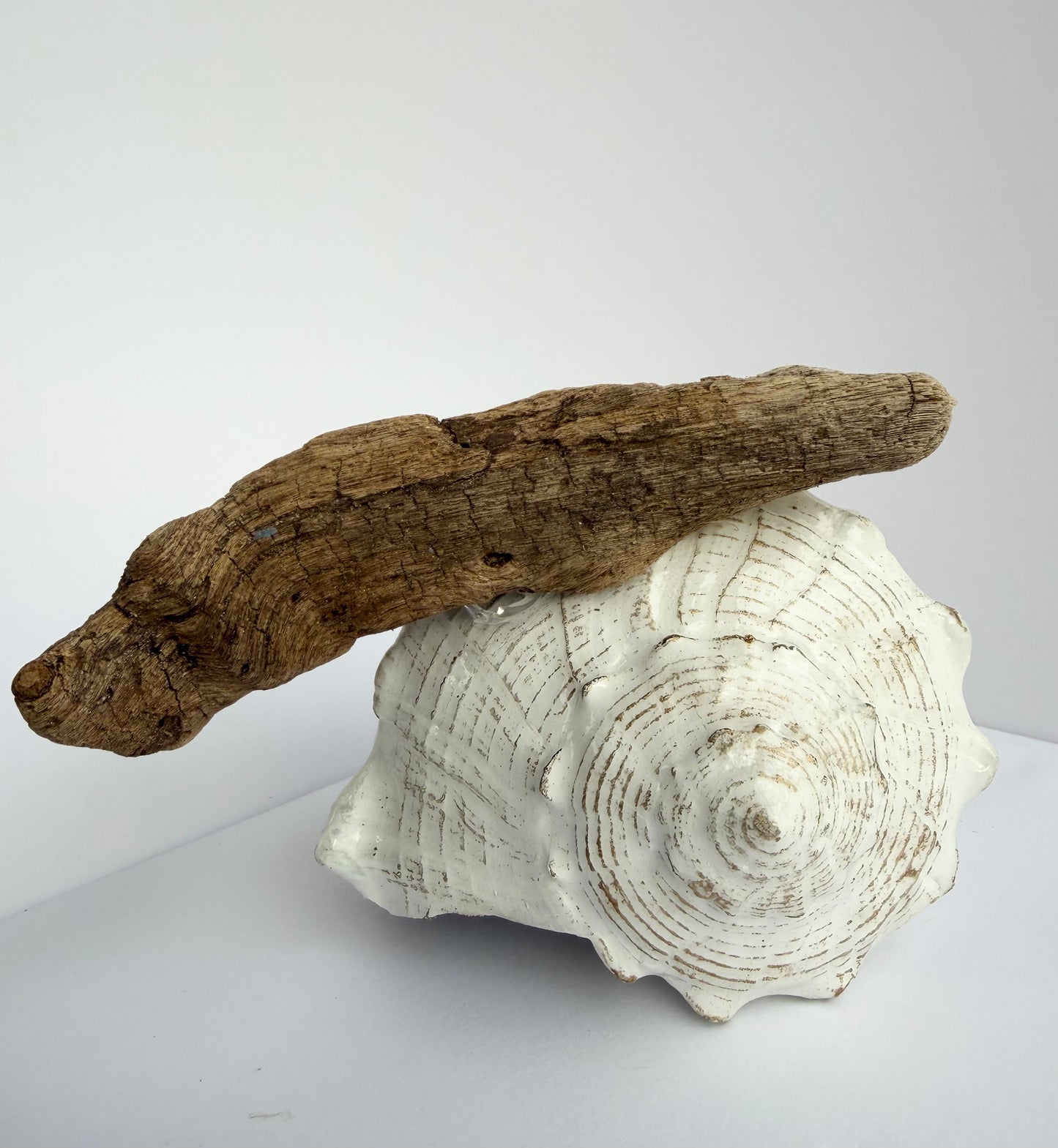 Decoupage Welk with Octopus